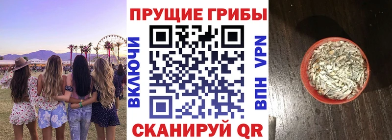 Галлюциногенные грибы мицелий  Ставрополь 