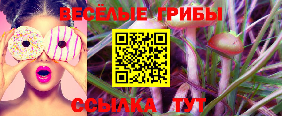 Псилоцибиновые грибы Psilocybine cubensis  Вход с VPN  Ставрополь 
