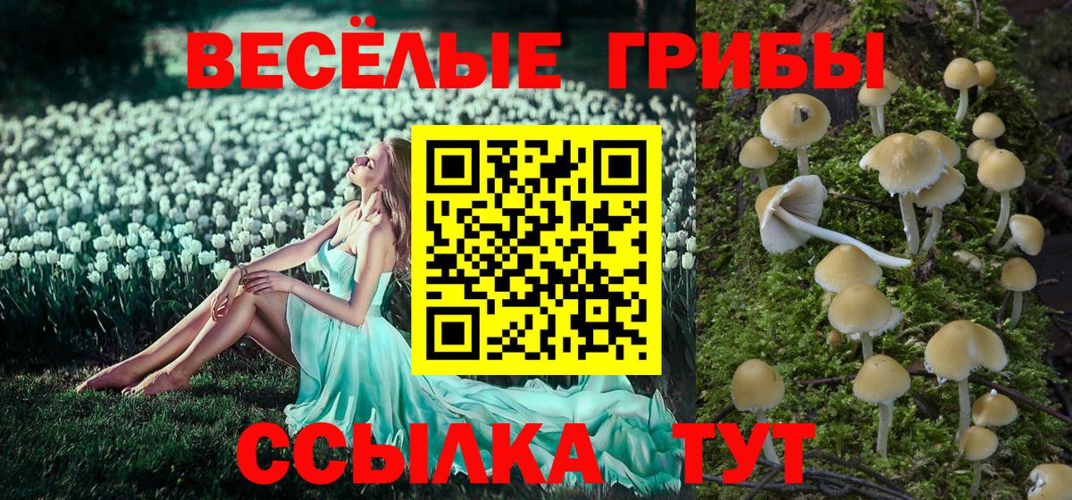 Псилоцибиновые грибы MAGIC MUSHROOMS Ставрополь