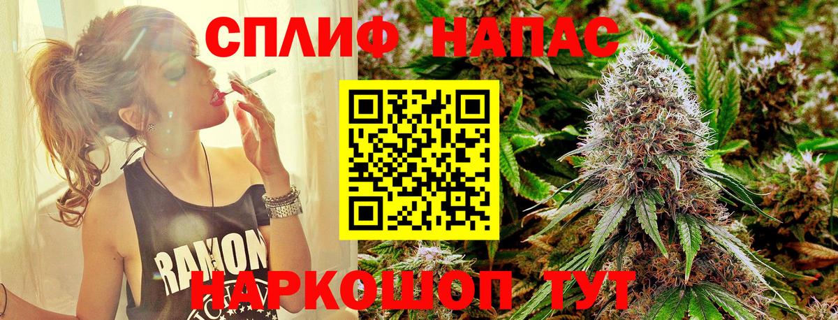 Конопля White Widow  Вход с VPN  Ставрополь  Бошки марихуана индика  Шишки марихуана план 